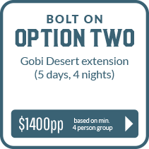 Bolt On Option Two - Gobi Desert
